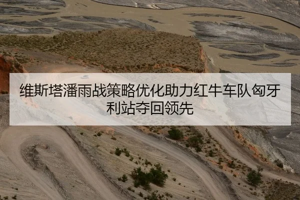 维斯塔潘雨战策略优化助力红牛车队匈牙利站夺回领先