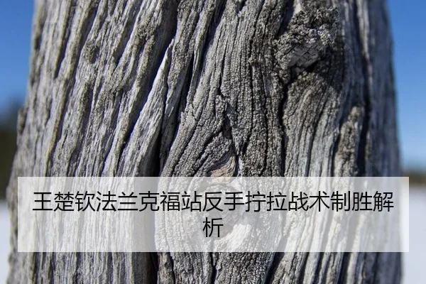 wang-chu-qin-fa-lan-ke-fu-zhan-fan-shou-ning-la-zhan-shu-zhi-sheng-jie-xi-3-386.jpg